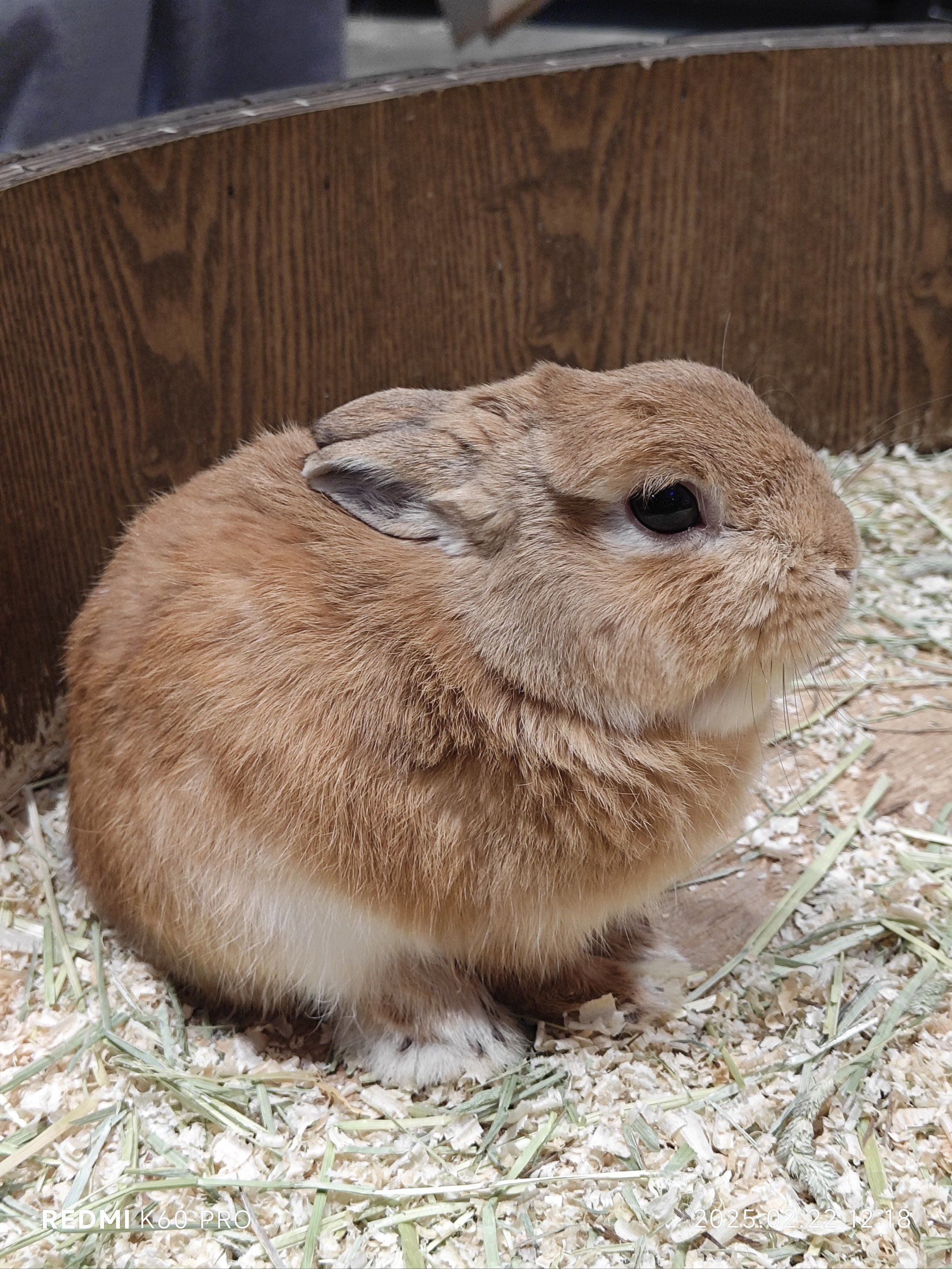 《安卓后端服务器:打造高性能移动应用的秘密武器》